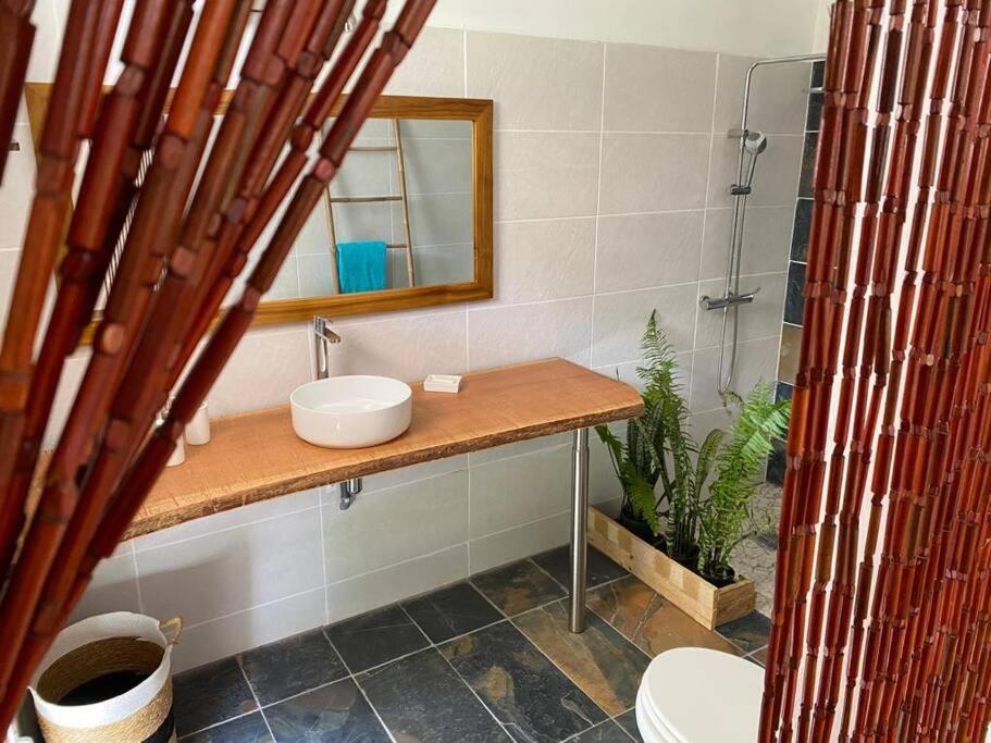 Appartement Zayann Zen à Gourbeyre Extérieur photo
